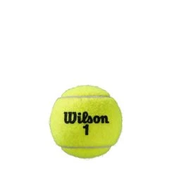 Wilson Roland Garros Clay Court 4 Ball Can -Wilson Shop T11500 1