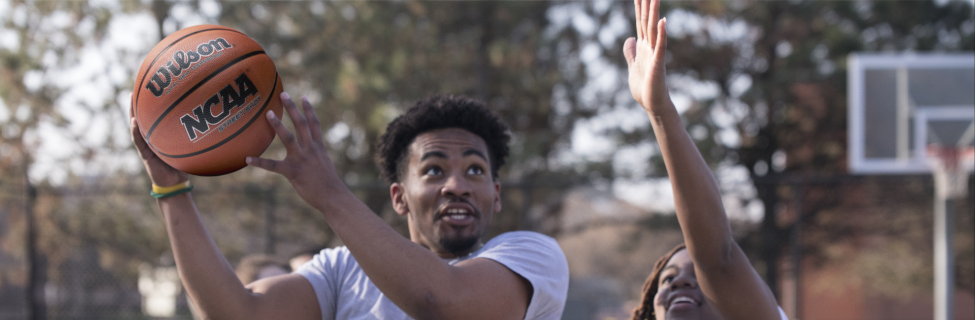 Wilson Shop 3 Wilson Shop -Wilson Shop 1